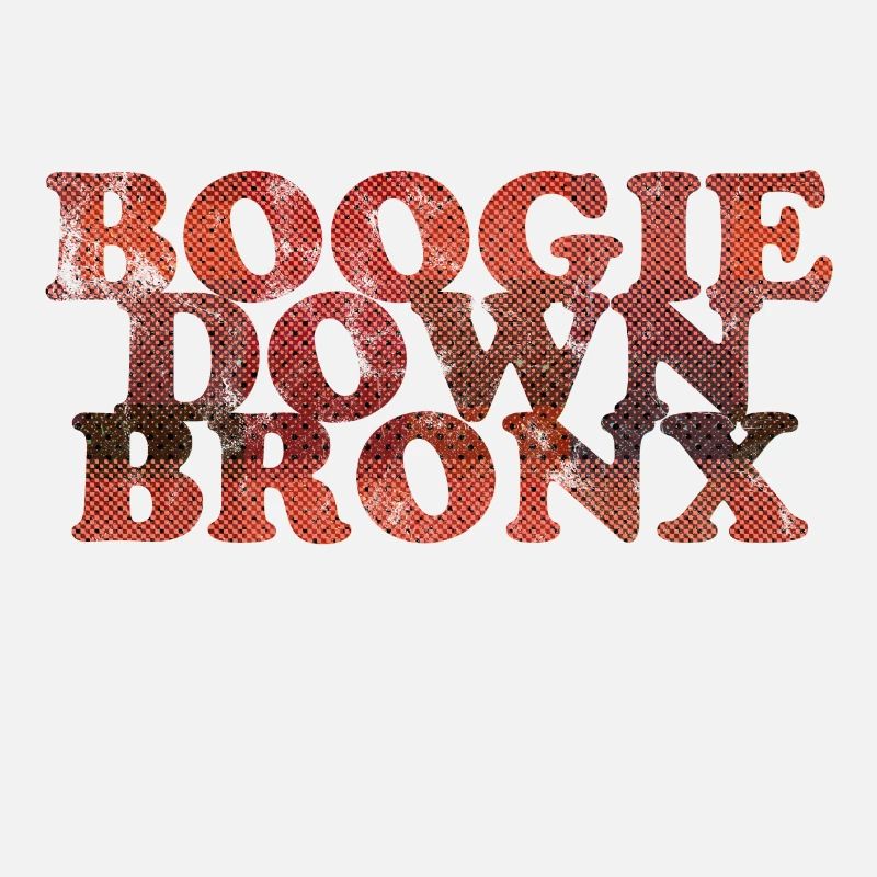 Boogie Down Bronx