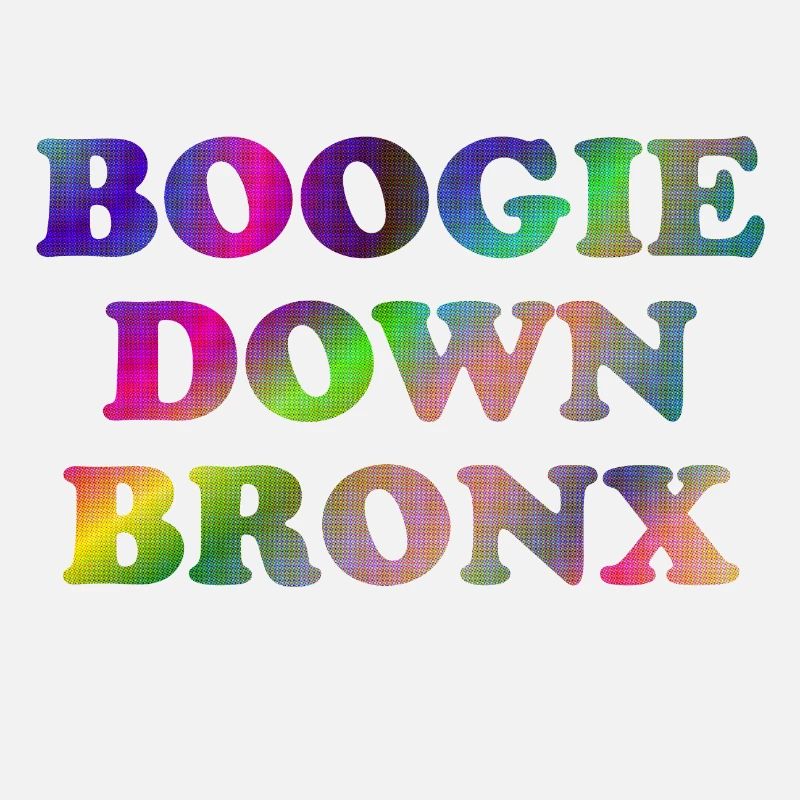 Boogie Down Bronx
