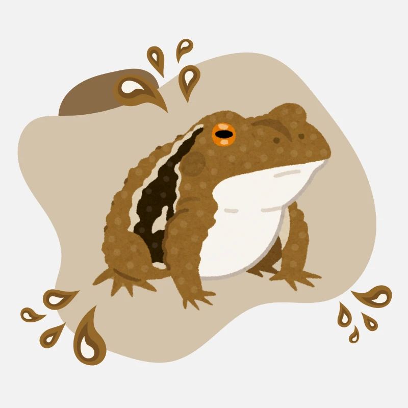 Toad