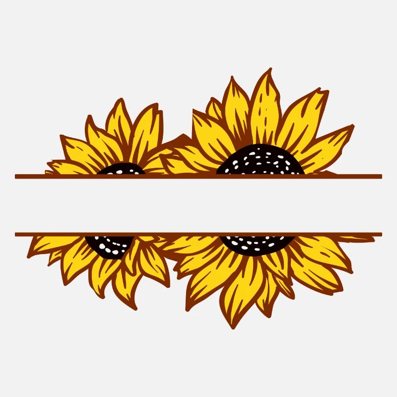 Doppelte Sonnenblumen-Split-Farbe
