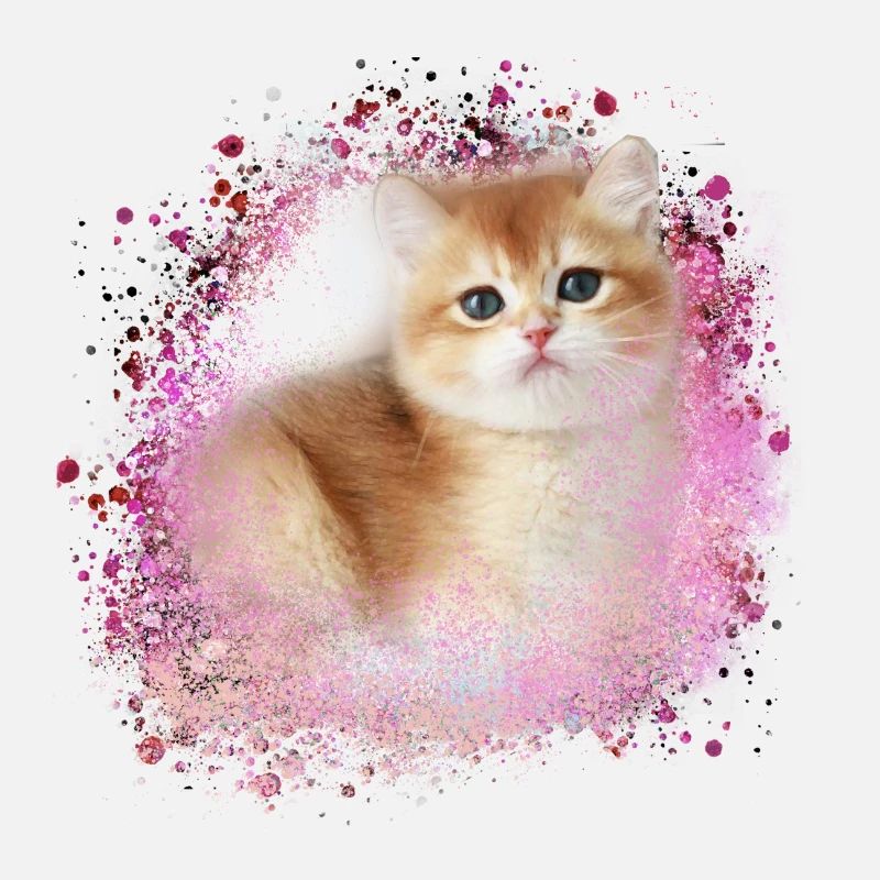 kitten,cat,kitten,graffiti,painting