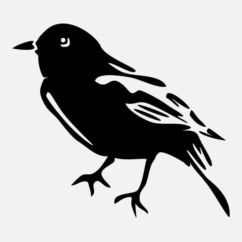 Spatz