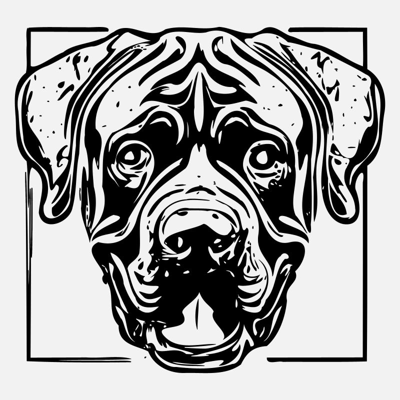 cane corso
