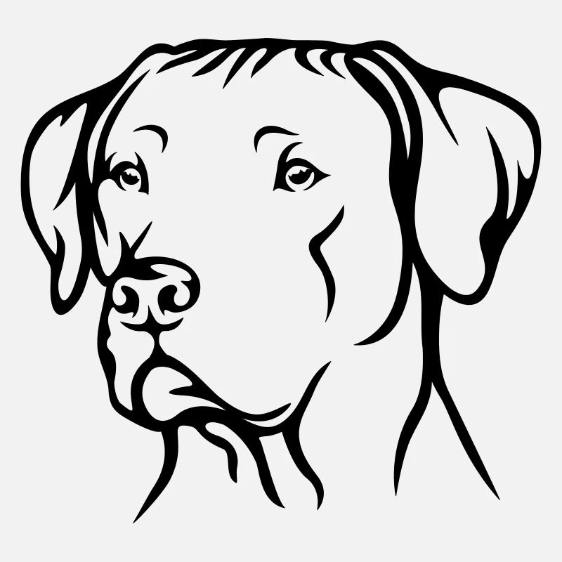 Rhodesian Ridgeback