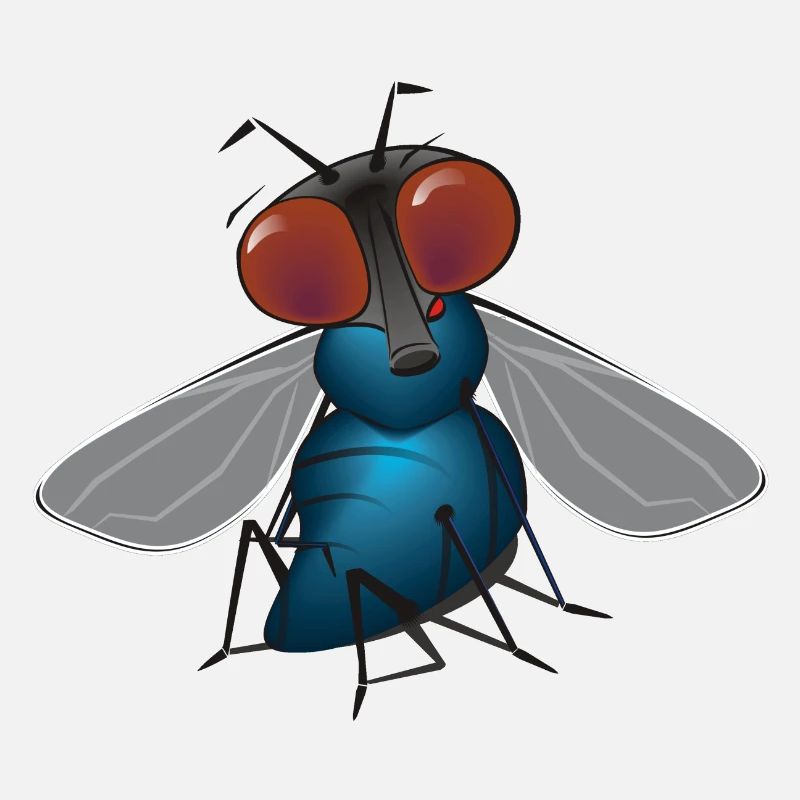 fliege