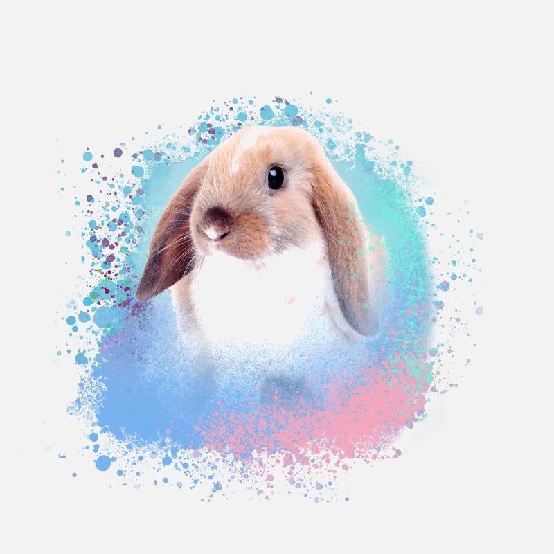 lapin, lapin, rose, graffiti, peinture,