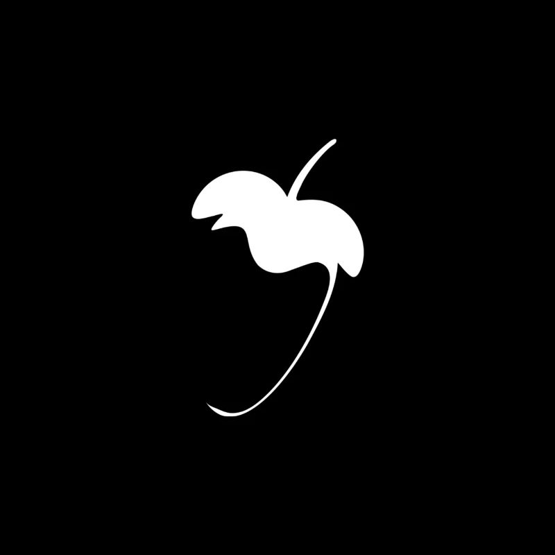 Fl Studio Logo grey