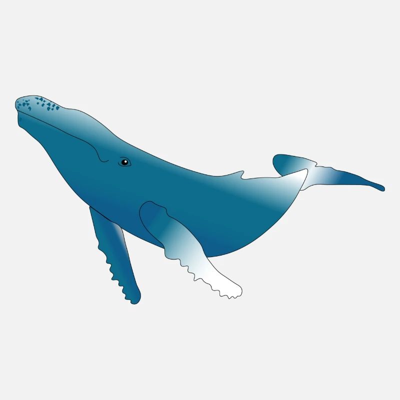 Humpback