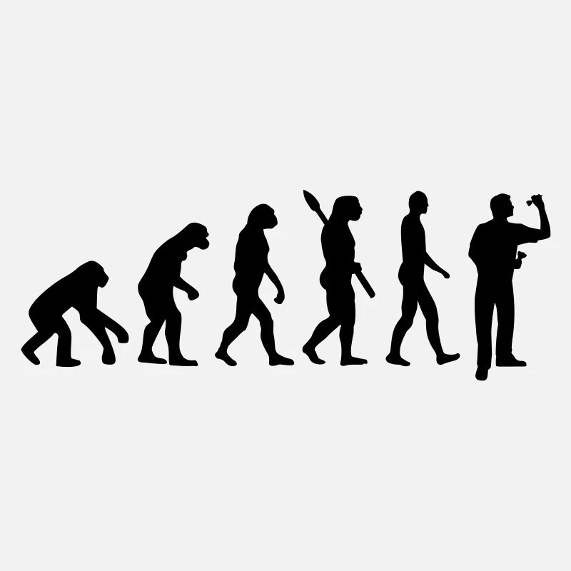 Evolution Darts