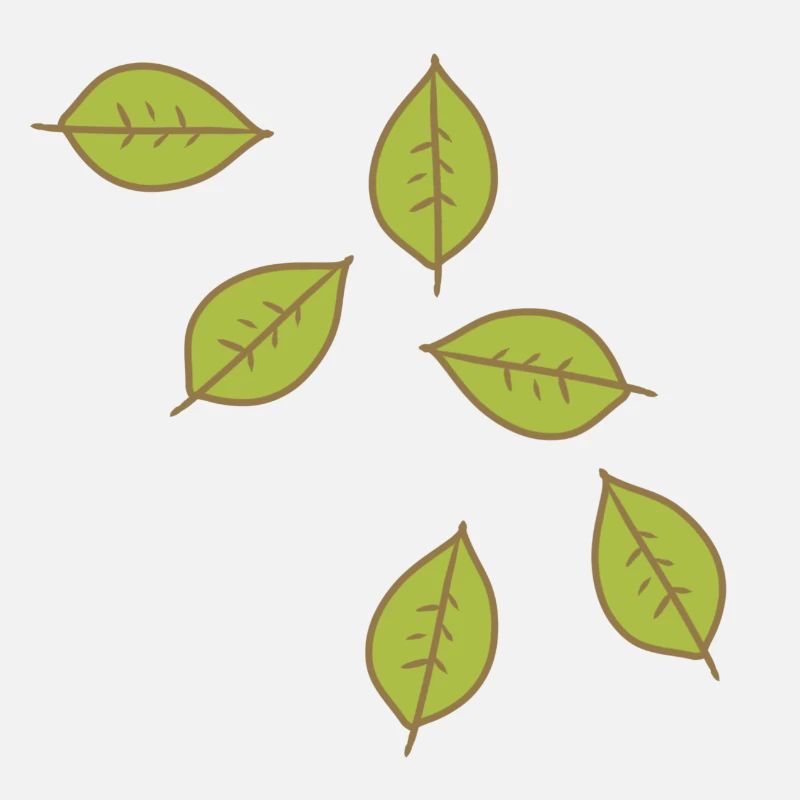leaf green pattern leaves icon shape nature