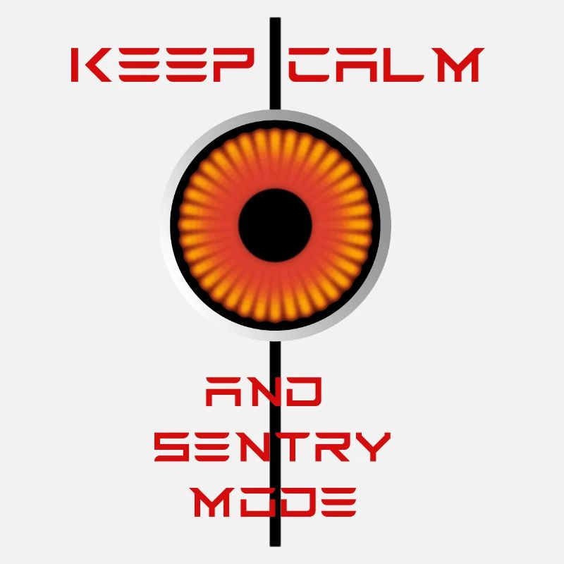 Keep Calm and Sentrymode Tesla