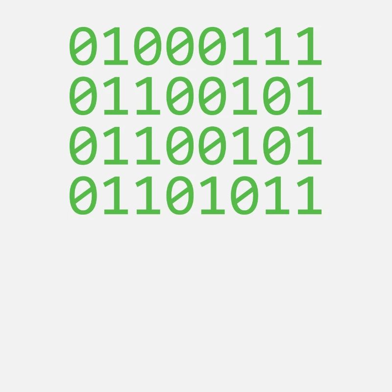 Programmeur Coder Développeur de logiciels