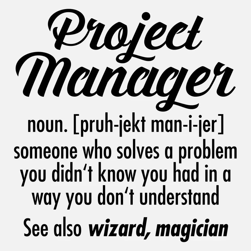 Project Manager - Definition