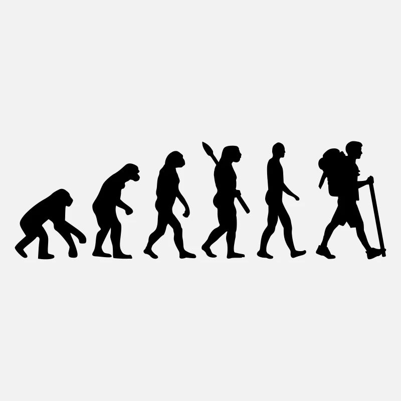 Évolution Cheminement