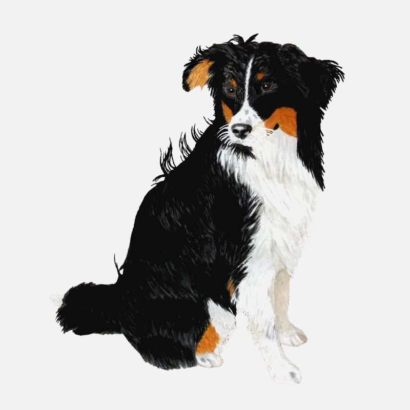 Aussie Nanouk, sitzend - Aquarell