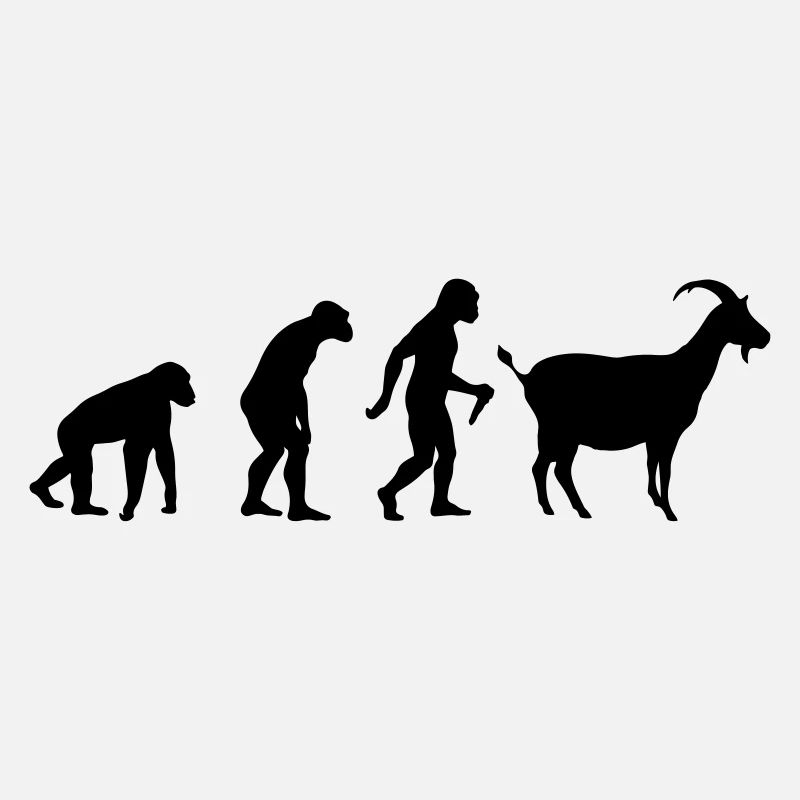 L'évolution de la chèvre