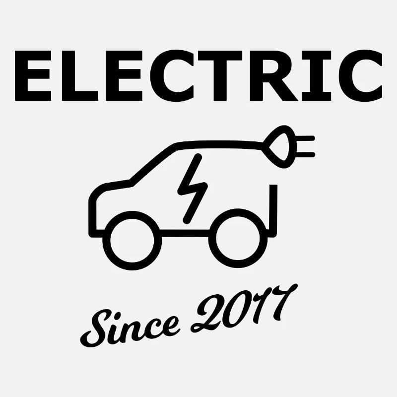 Voitures électriques 2017
