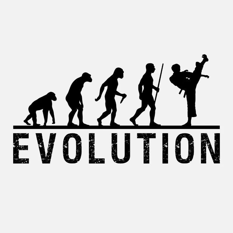 Chaîne d'évolution du taekwondo