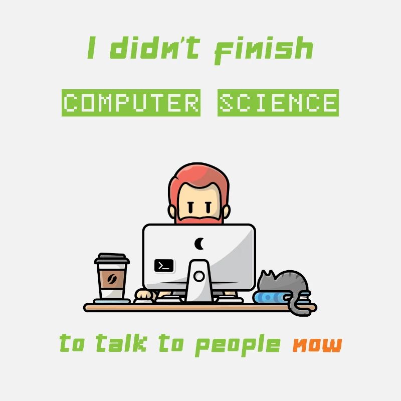 Fachinformatiker, Informatik