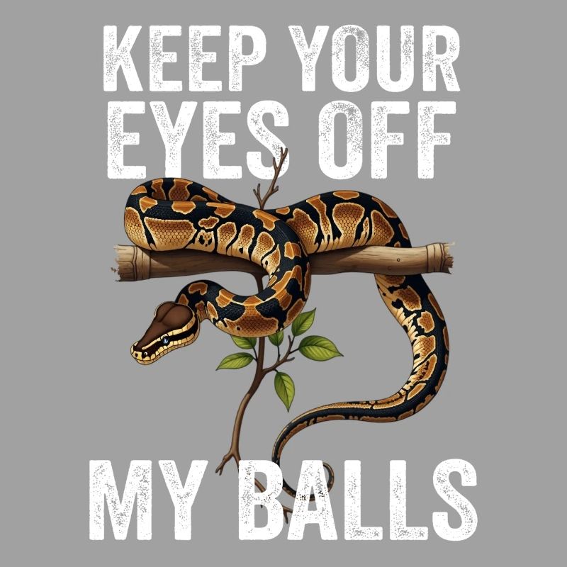 Python roi Serpents Amateurs de terrarium Python