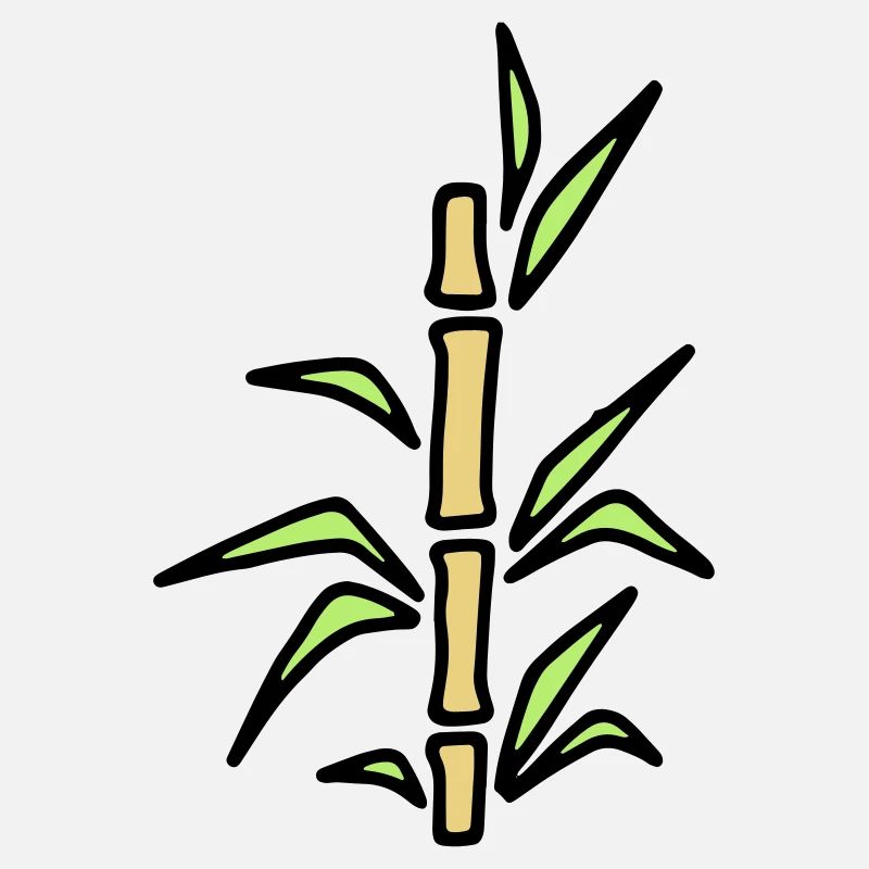 Bambus Bamboo Bambusrohr