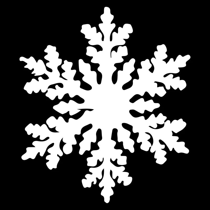 flocon de neige 2