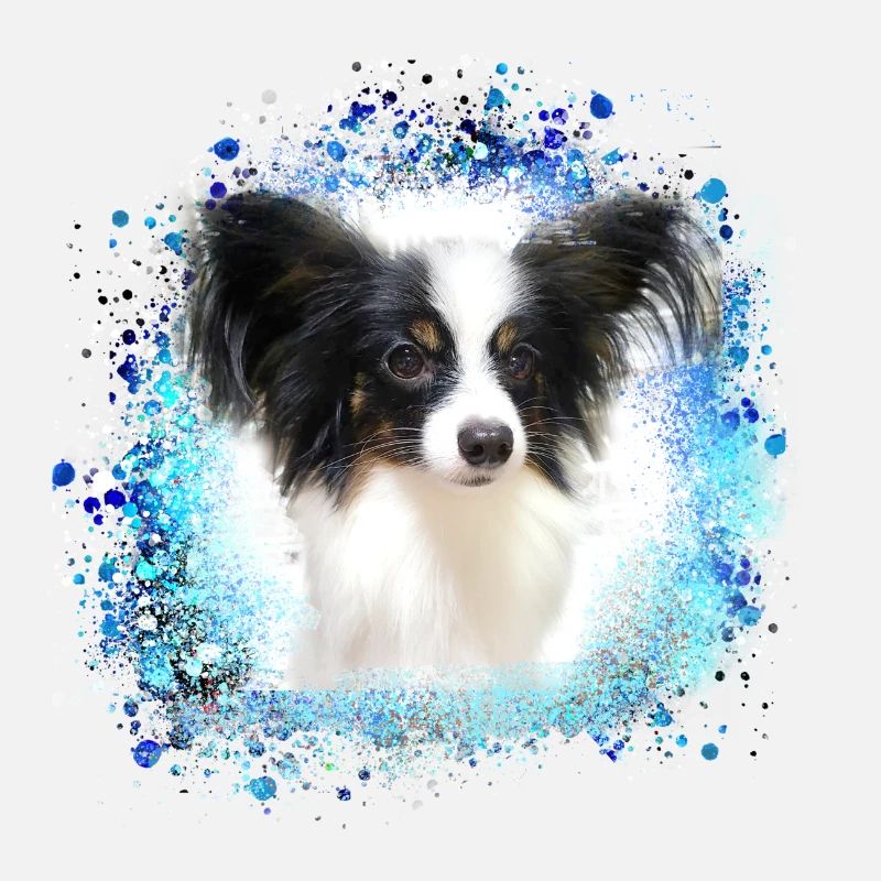 papillon,chien,spitz,zwergspitz,pompon