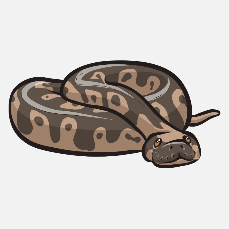 Ball Python Snake King Python