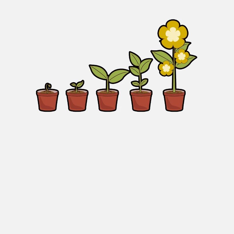 Evolution einer Blumen im Topf blühend