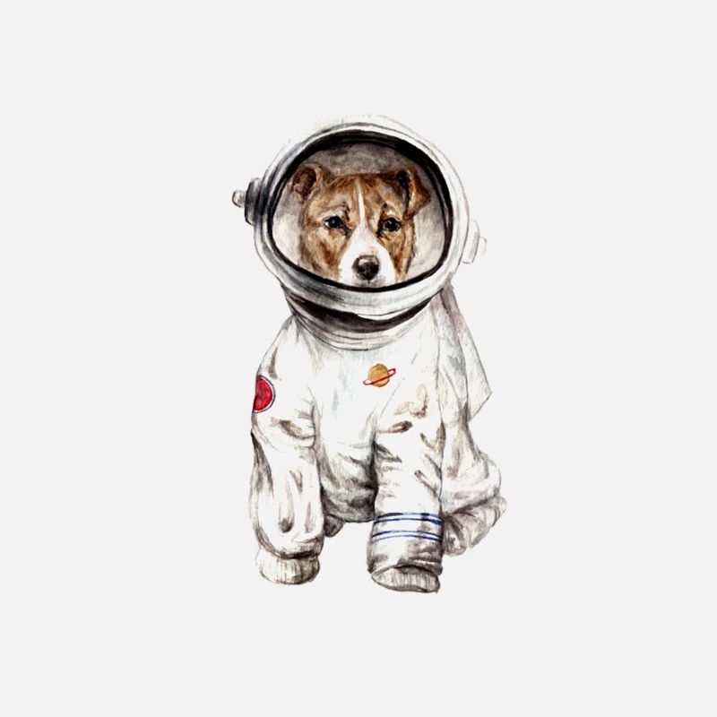 Chien en combinaison spatiale Spatiale Spatiale