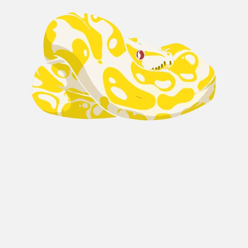 Banana Ball Python Snake It Till You Make It
