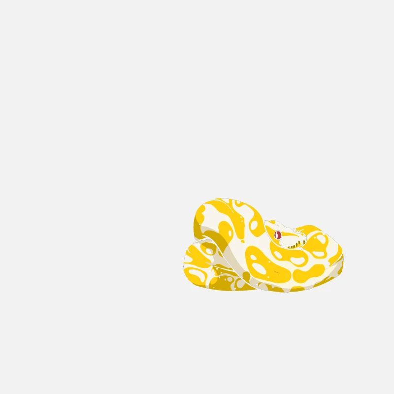 Banana Ball Python Ne touche pas mes couilles