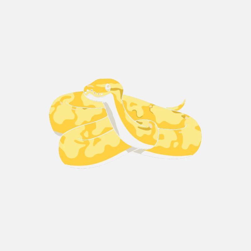 Dames Banana Ball Python Dicton