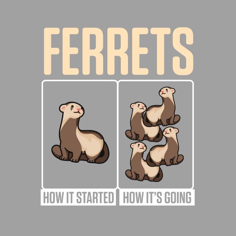 Weasel Cute Ferrets How It Started How It's Going