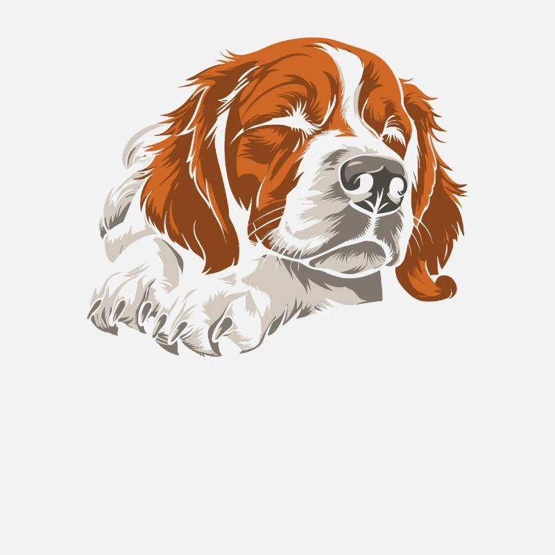Brittany Spaniel
