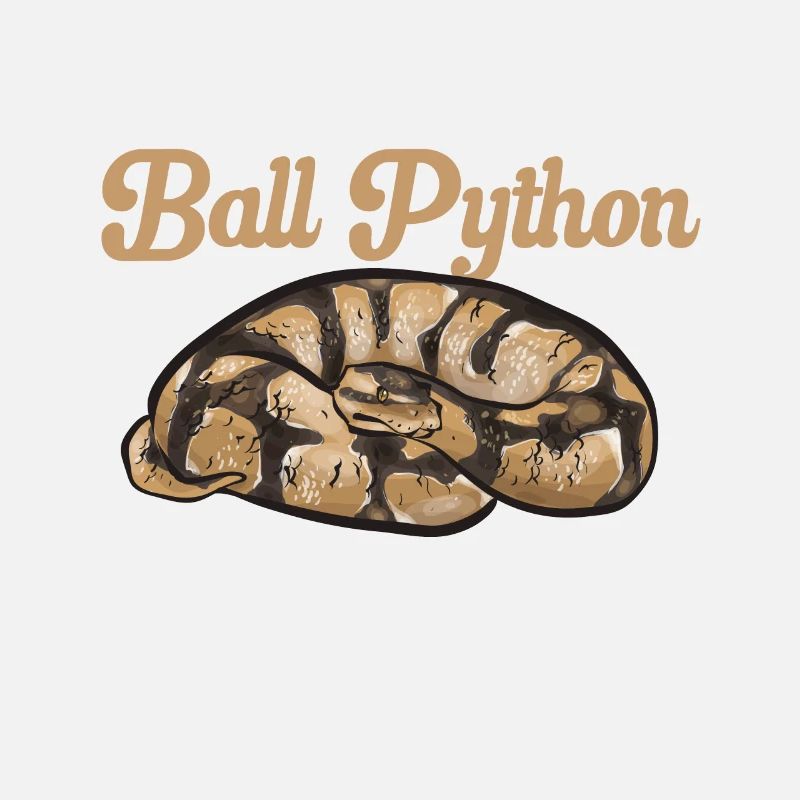 Python royal Serpent Roi Python