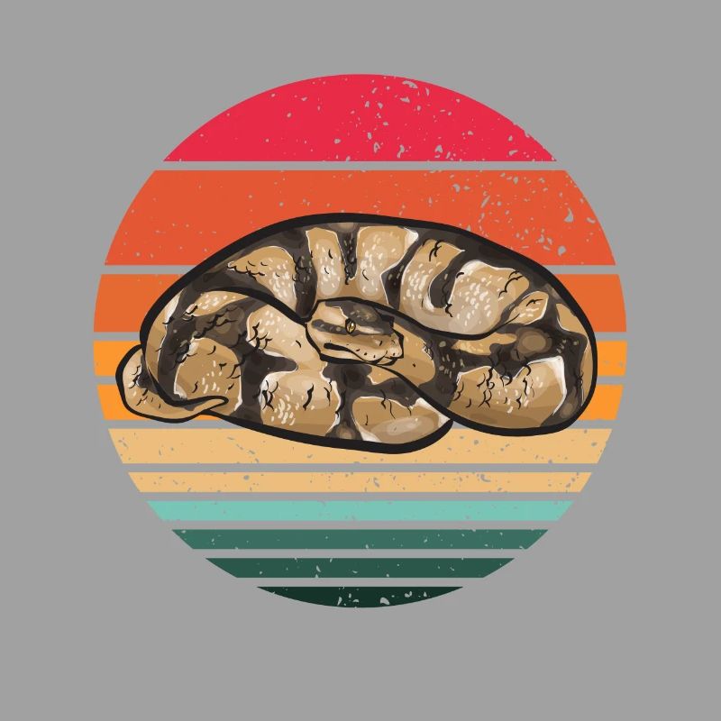 Ball Python Schlange Königspython