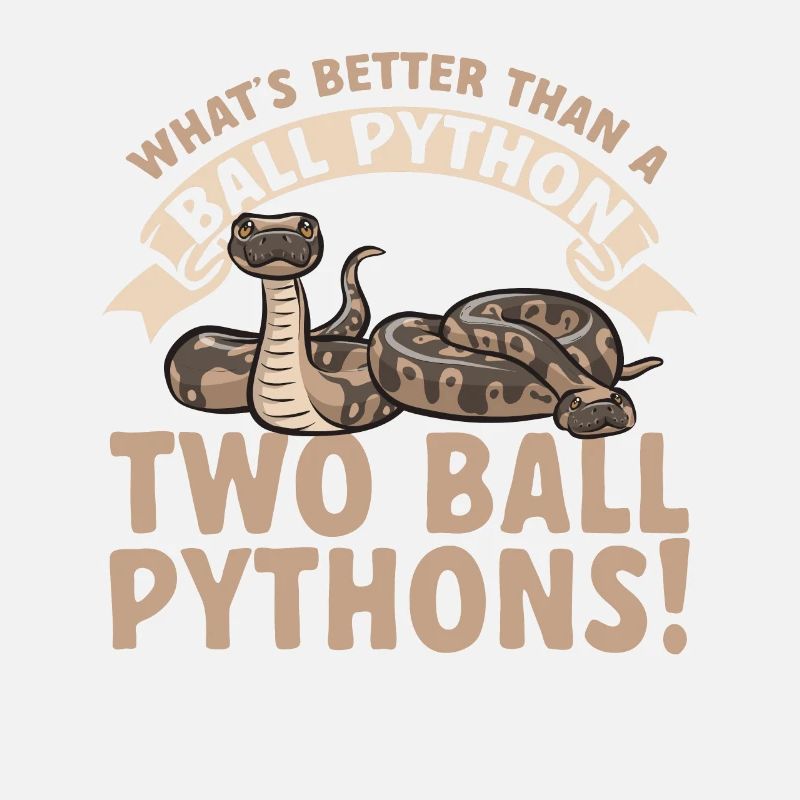 Ball Python Schlange Königspython
