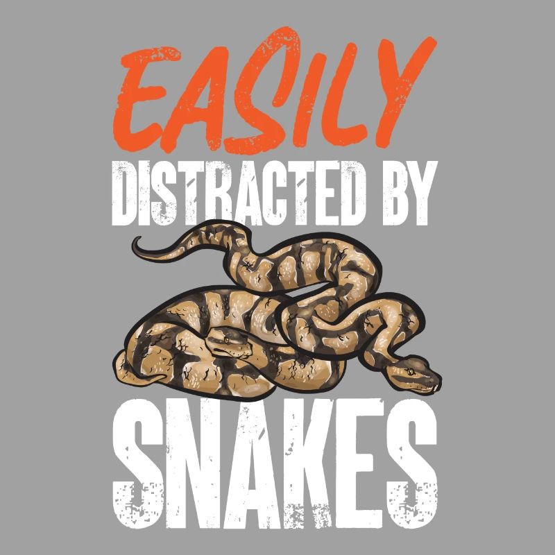 Ball Python Snake King Python