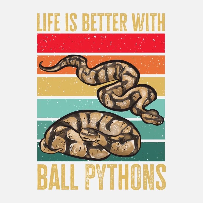 Ball Python Snake King Python