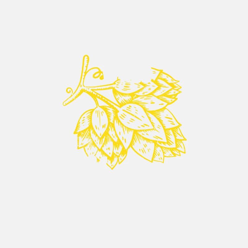 Beer Drinking Beer Fun Drinking Hops Drinking Drinking Drinking