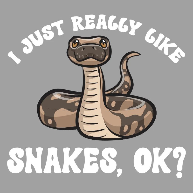 Ball Python Schlange Königspython