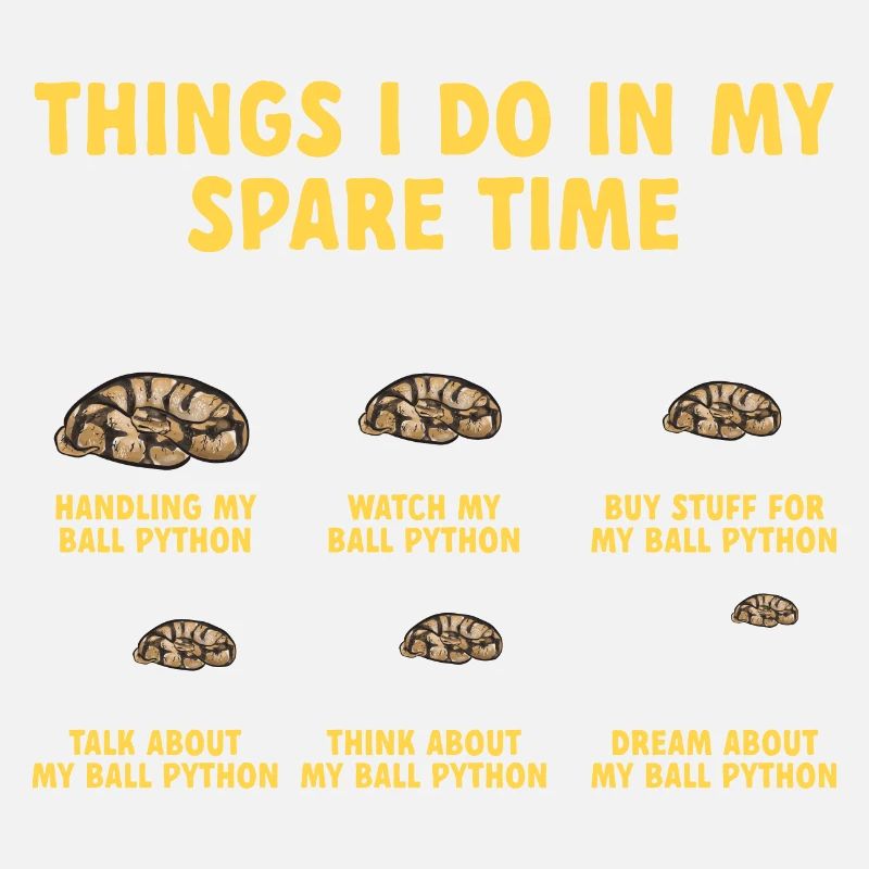 Ball Python Snake King Python