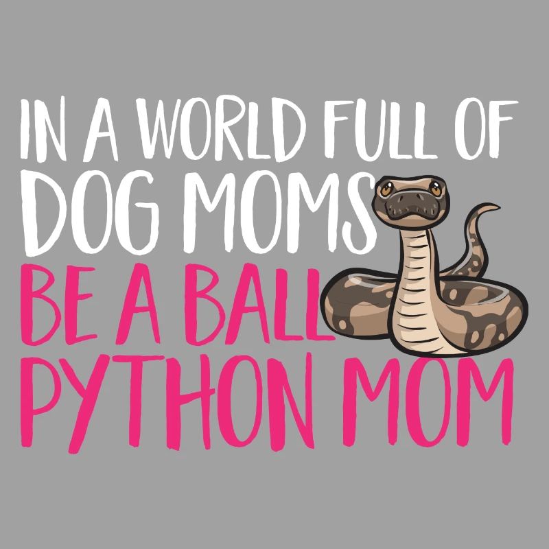 Ball Python Schlange Königspython