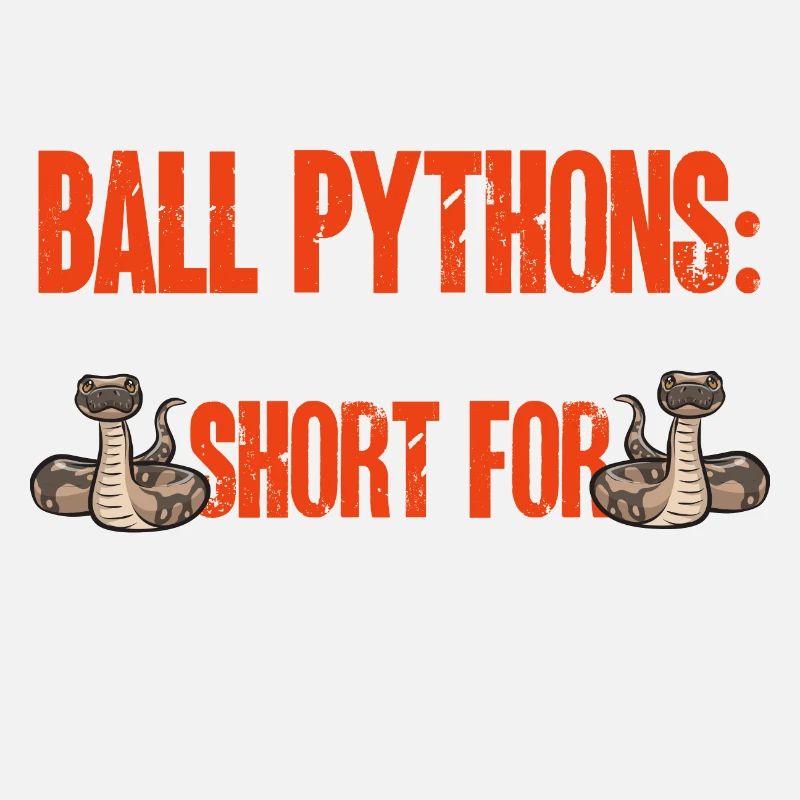 Ball Python Schlange Königspython
