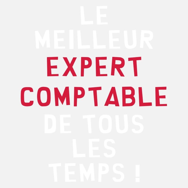 Expert Comptable / Comptabilité / Comptable /