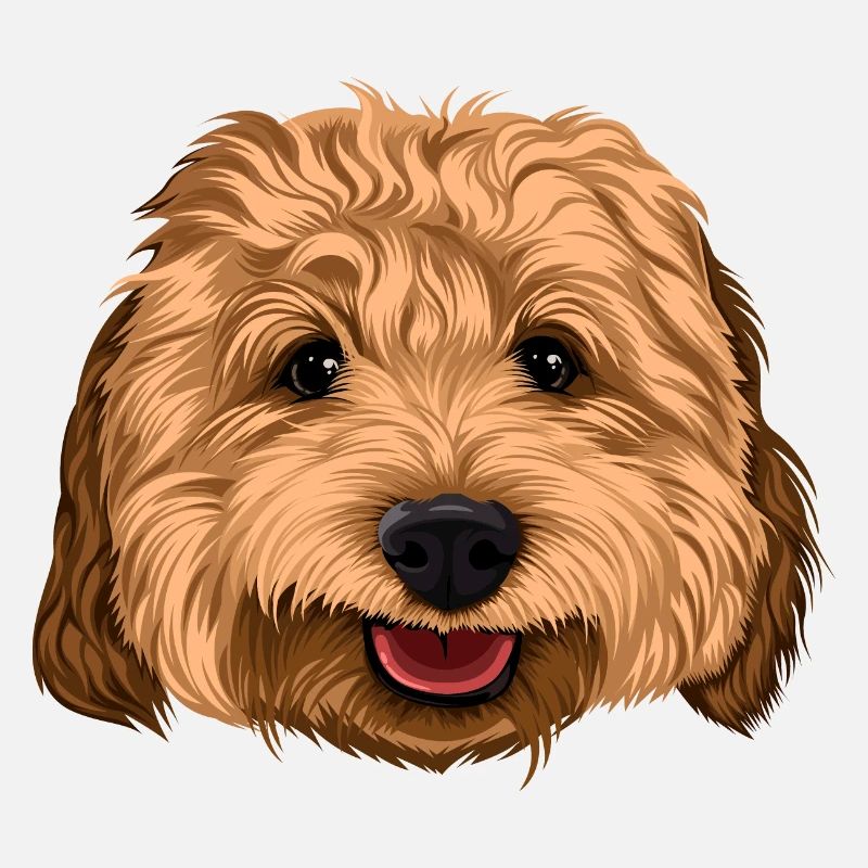 Joyeux Cockapoo