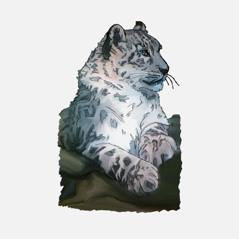 Snow leopard lying