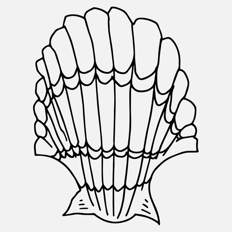 shell