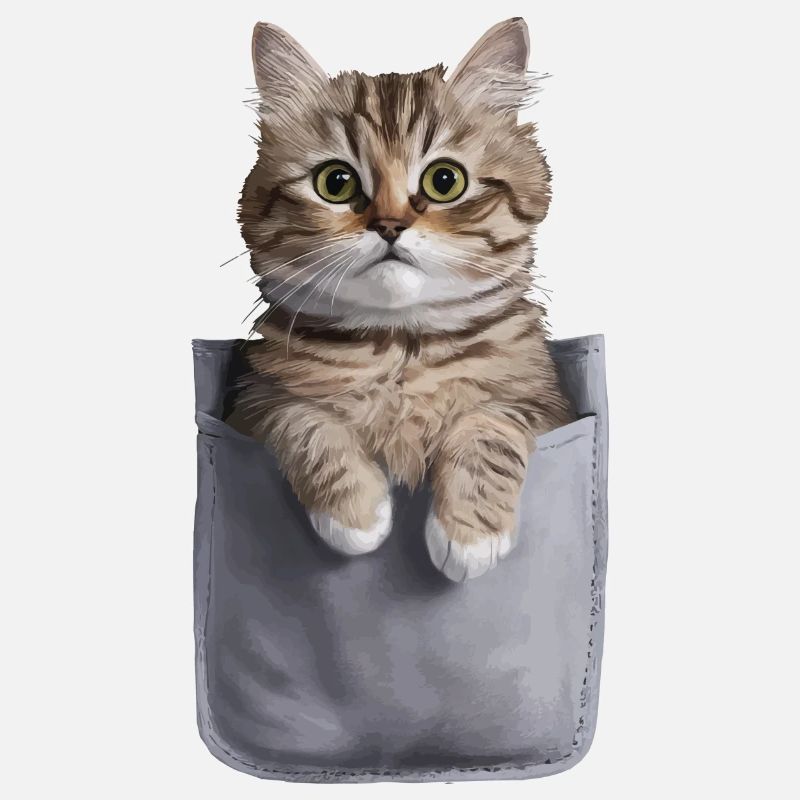 Ragdoll-Katze in der Tasche Geschenk